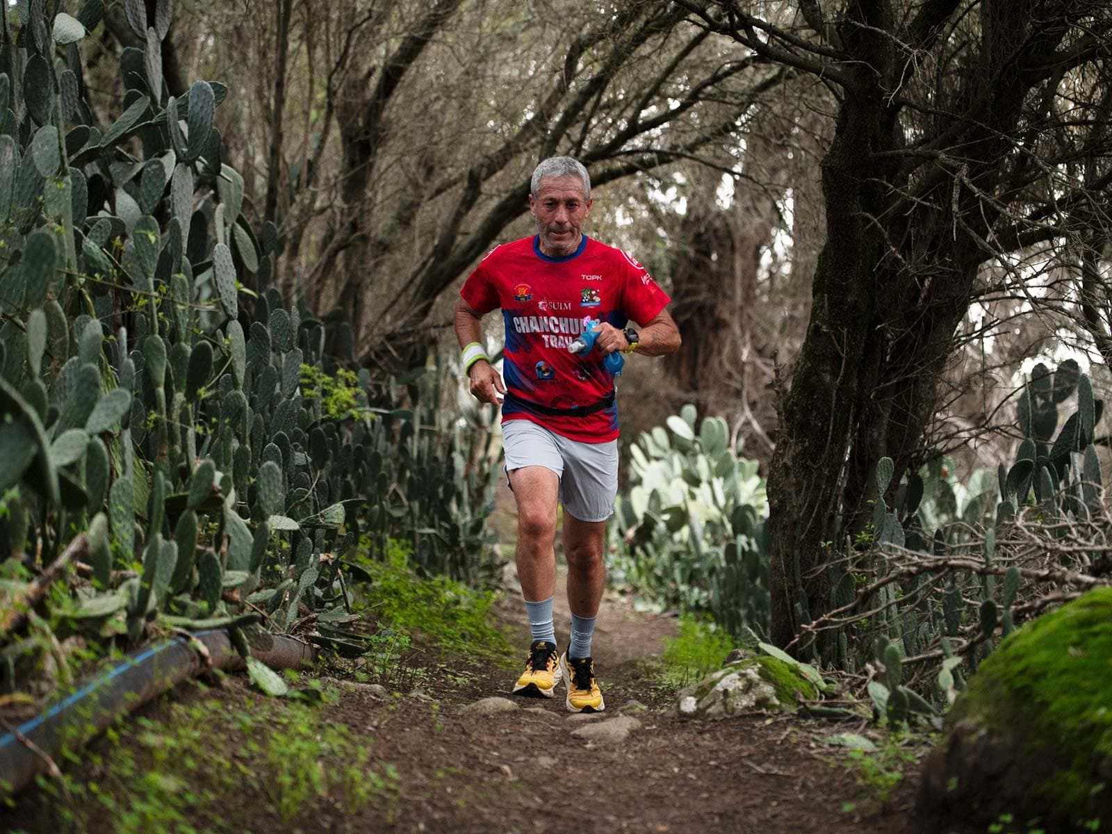 Corredor en la naturaleza en la carrera Trail Pino Santo 2025