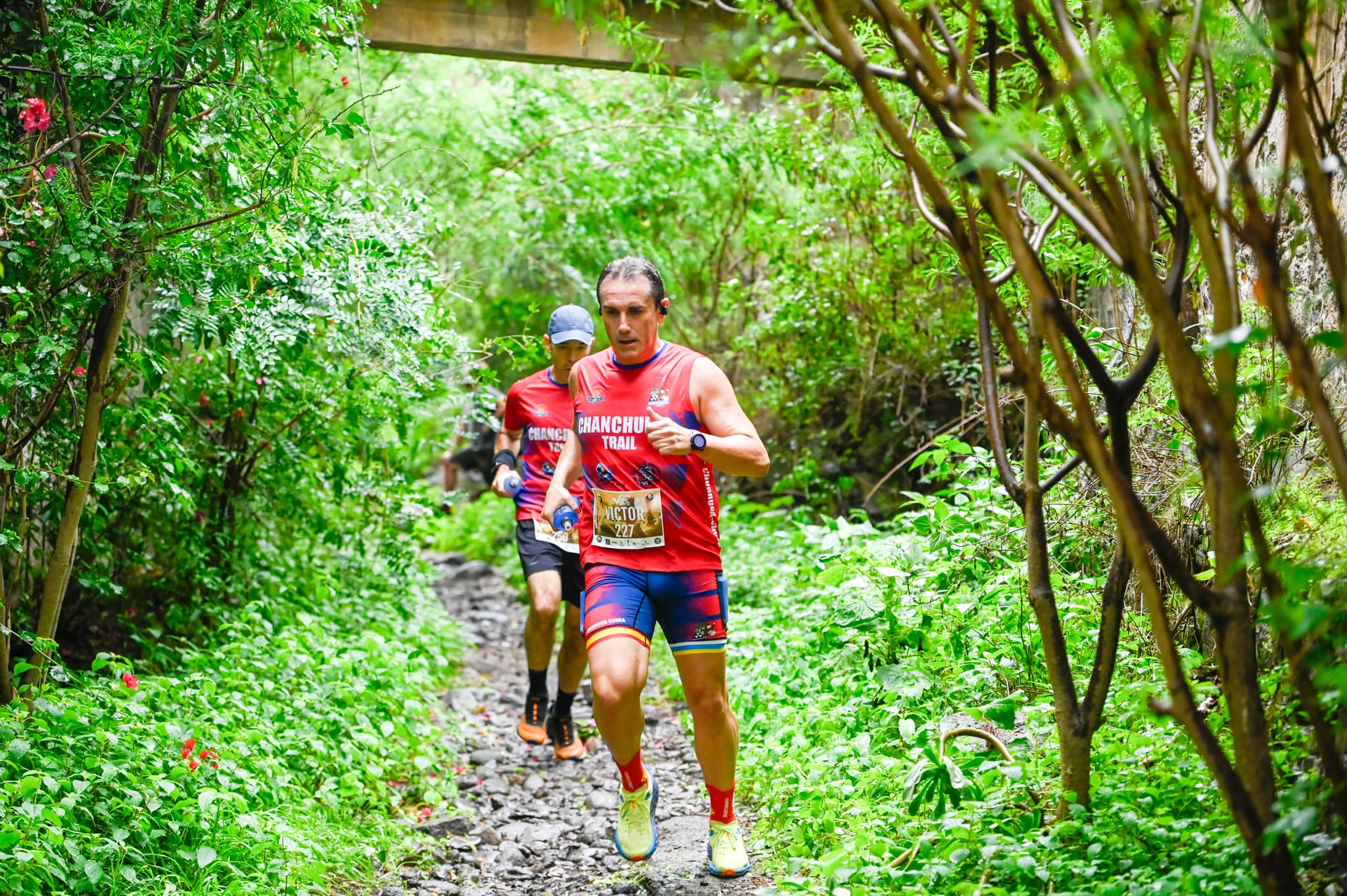 Grupos de personas corriendo por la montaña en la carrera Trail Pino Santo