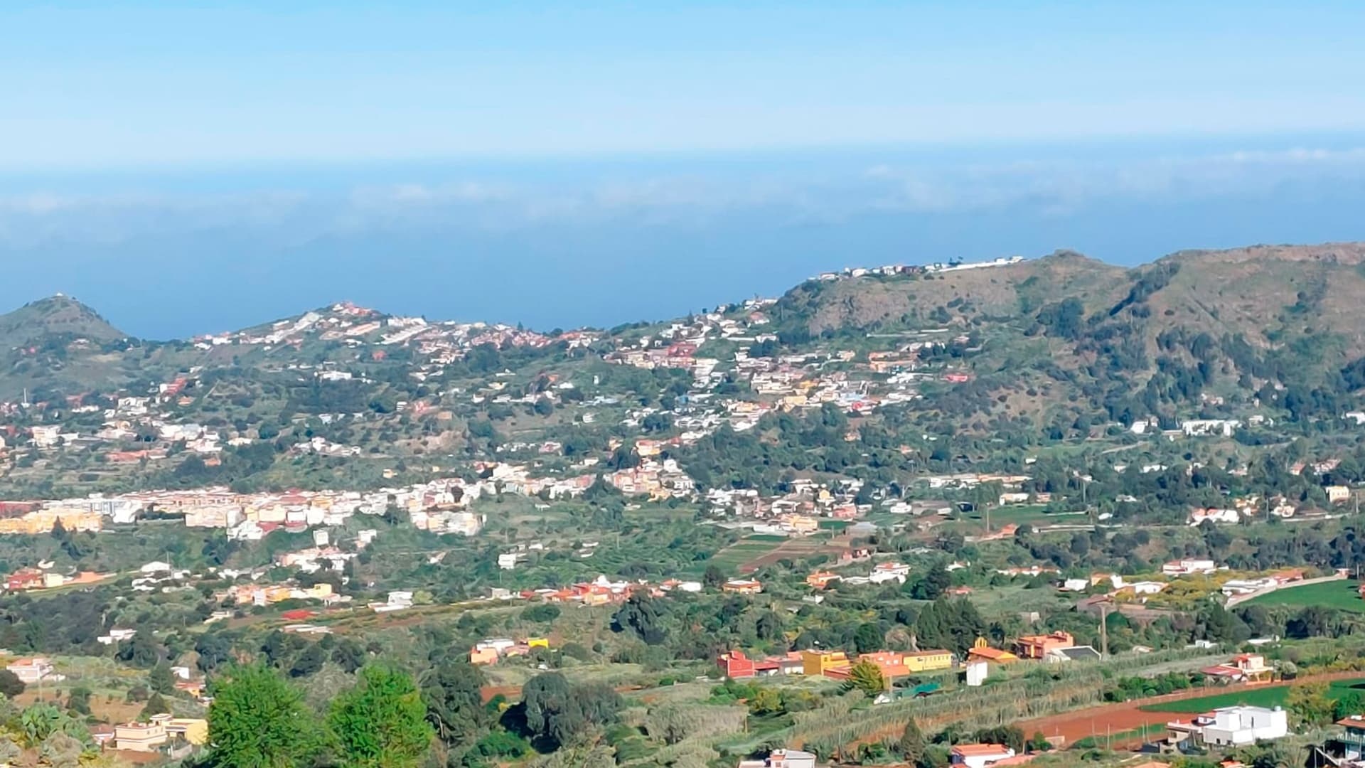 Información sobre Pino Santo Alto