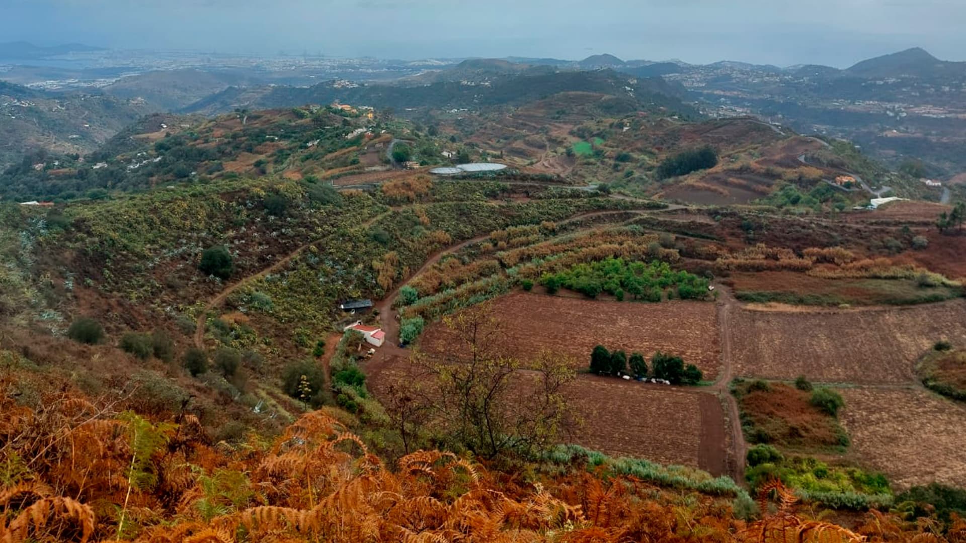 Santa Brígida y la carrera de Pino Santo Alto
